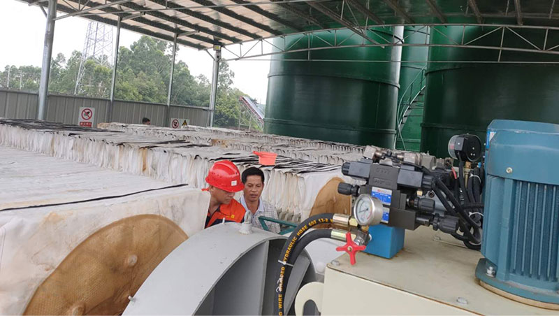 廂式板框青青草免费观看视频